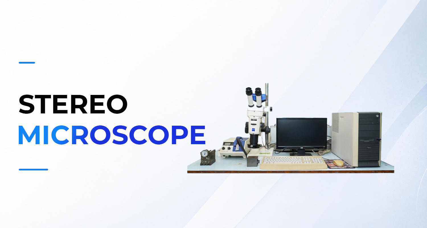 Stereo Microscope